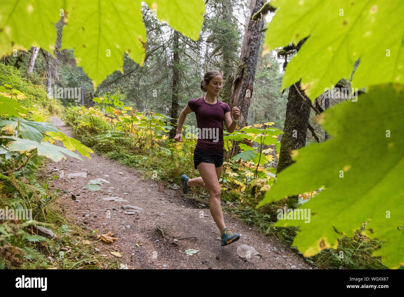 Gina Valdes, Seward, Alaska. Stockfoto