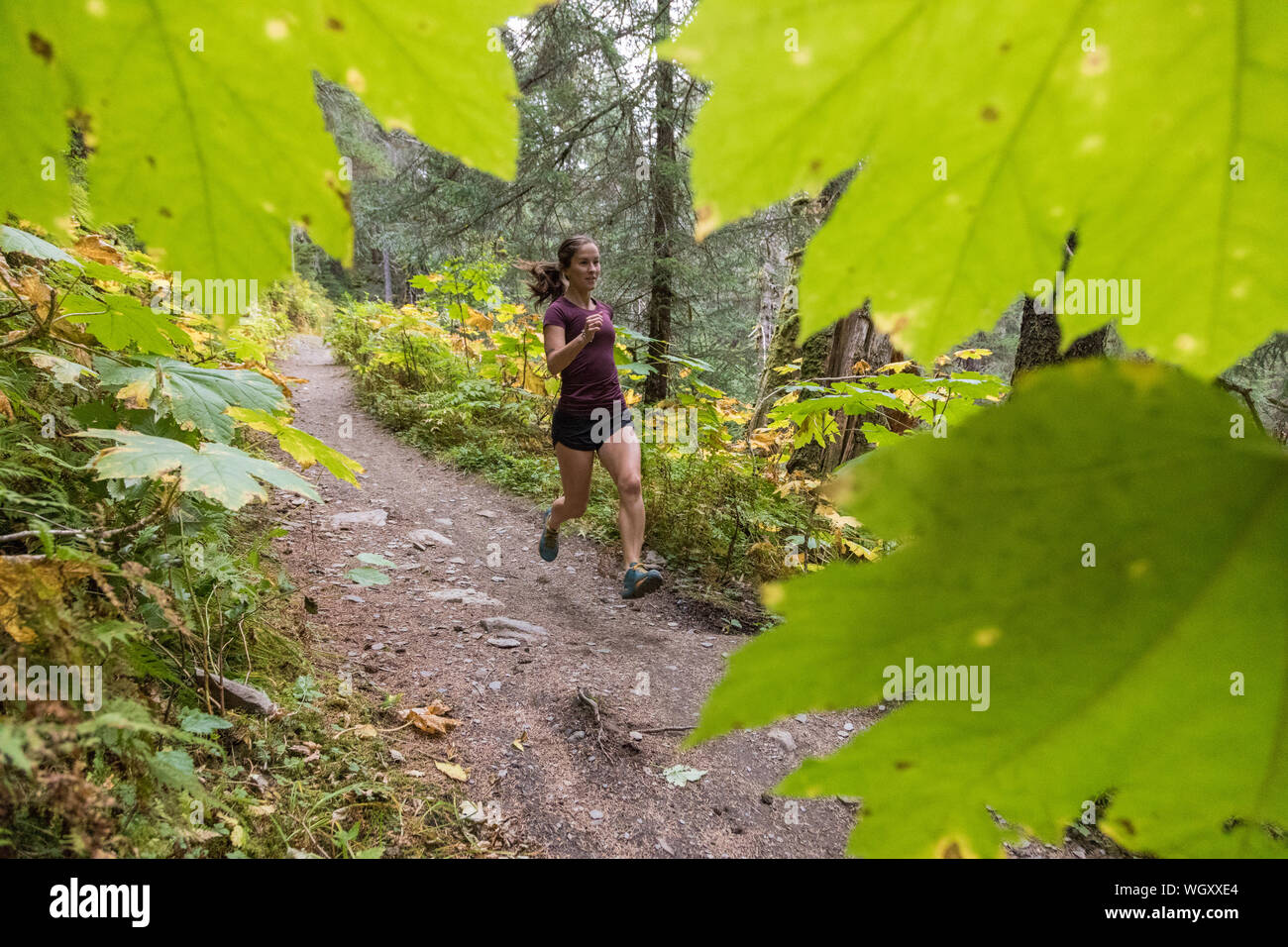 Gina Valdes, Seward, Alaska. Stockfoto