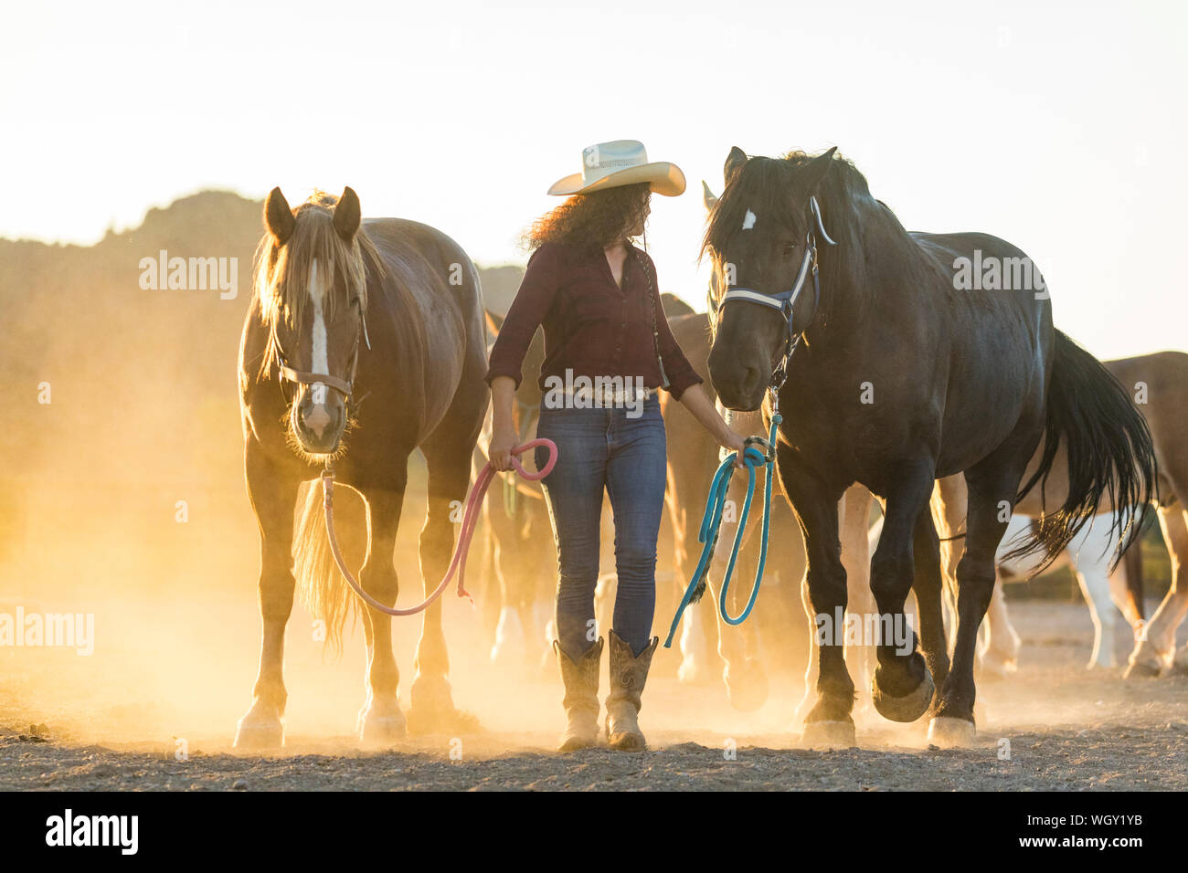 White Stallion Ranch, Tucson, Arizona. Stockfoto