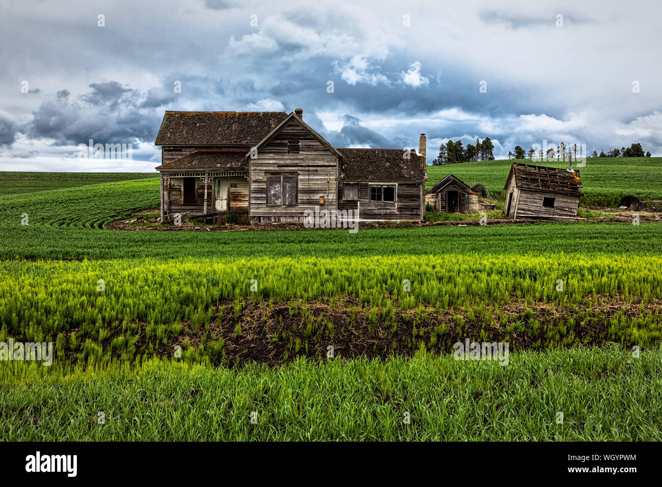 Eine verlassene Farm House in der Palouse, Washington Stockfoto