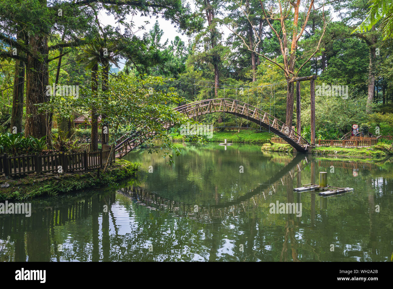 Universität Teich, Xitou Wald Naherholungsgebiet in nantou, Taiwan Stockfoto