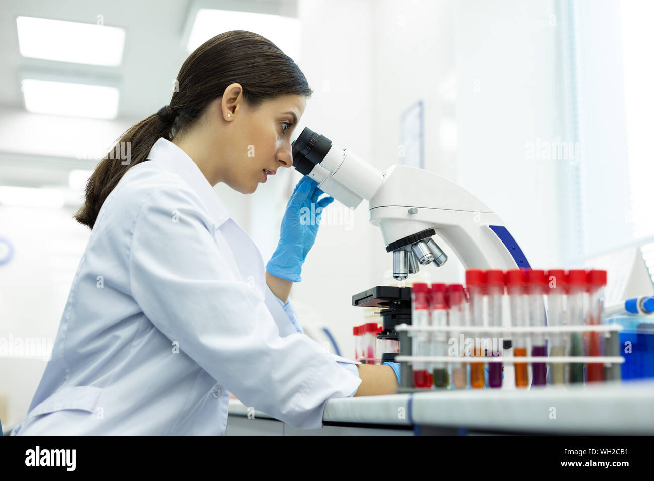 Konzentriert brunette Mikrobiologe arbeiten mit Laborausrüstung Stockfoto