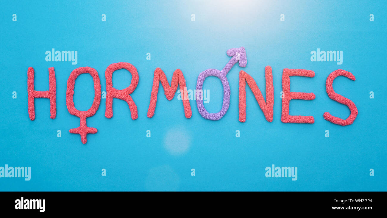 Das Wort Hormone von rot Knetmasse auf blauem Hintergrund Konzept aller menschlichen Hormonen Stockfoto