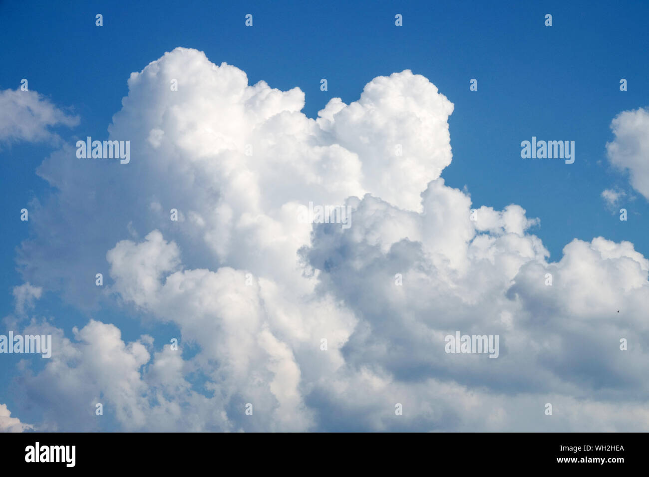 Weiße Wolken, Kumuluswolken am blauen Himmel und seine Bildung Stockfoto