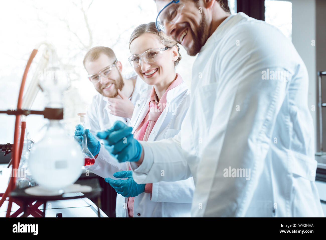 Wissenschaftler arbeiten als Team im Labor Stockfoto