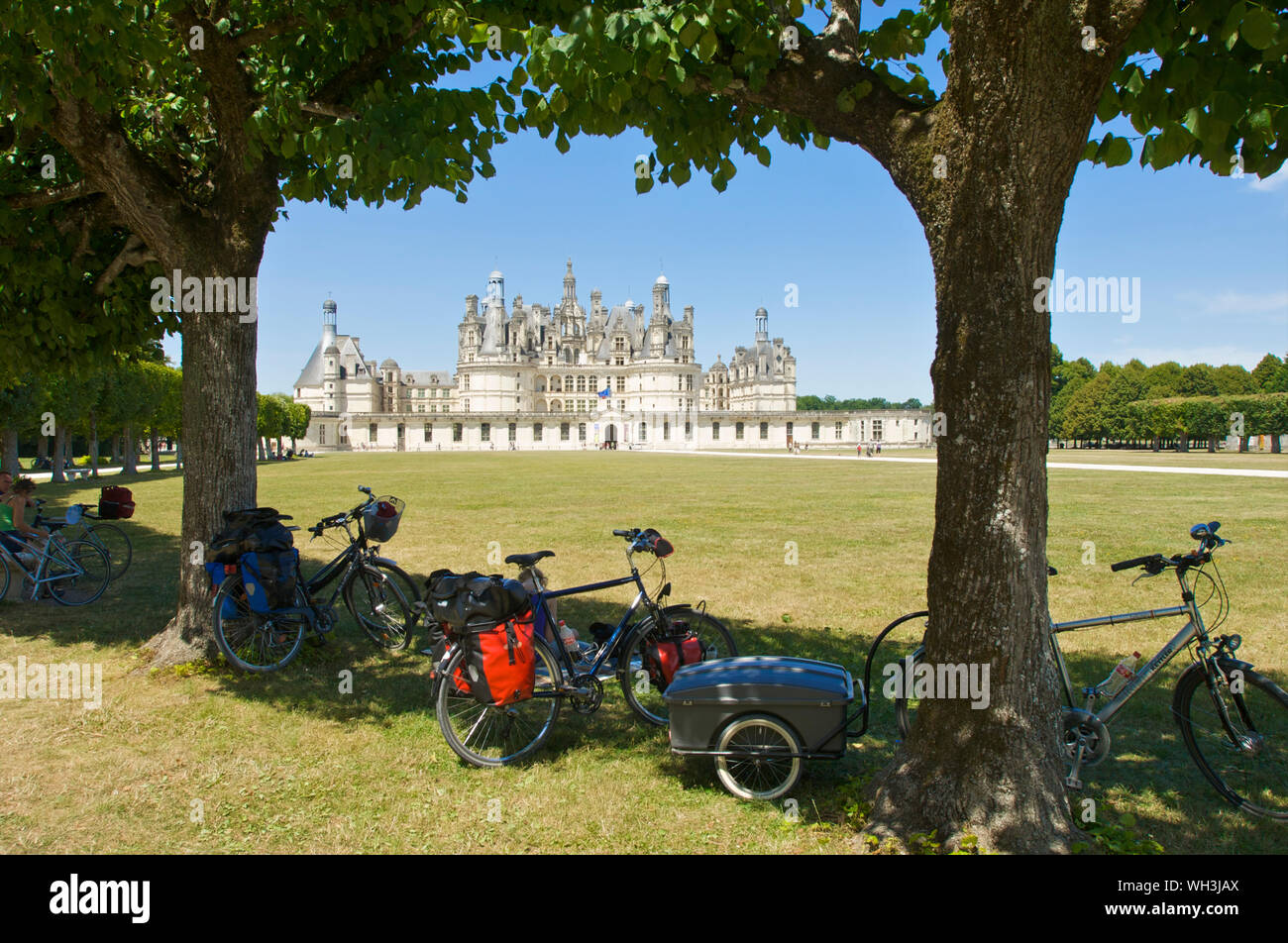 Fahrräder unter Bäumen am Schloss Chambord, Blois im Loire-tal, Frankreich Stockfoto