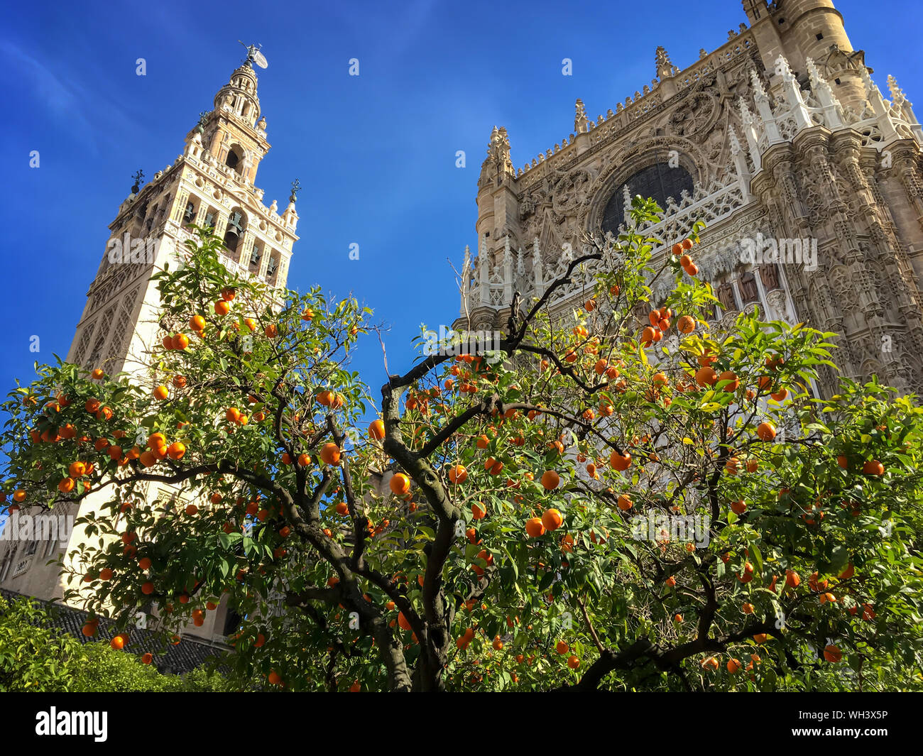 Die Giralda, Glockenturm der Kathedrale von Sevilla, Andalusien, Spanien Stockfoto