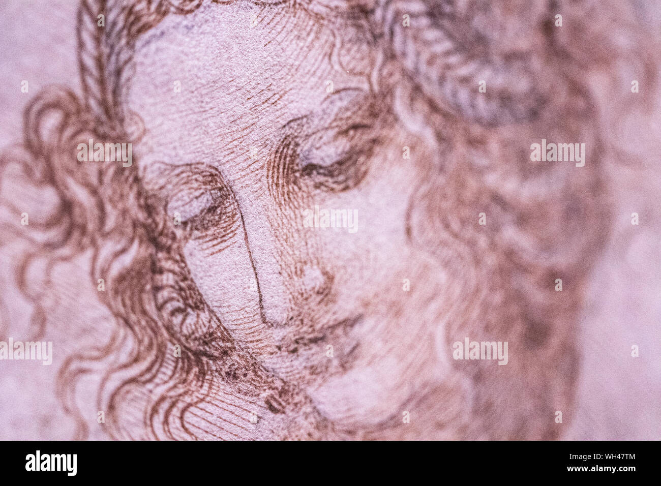 Erstaunlich Bild Leonardo Da Vinci Fotos