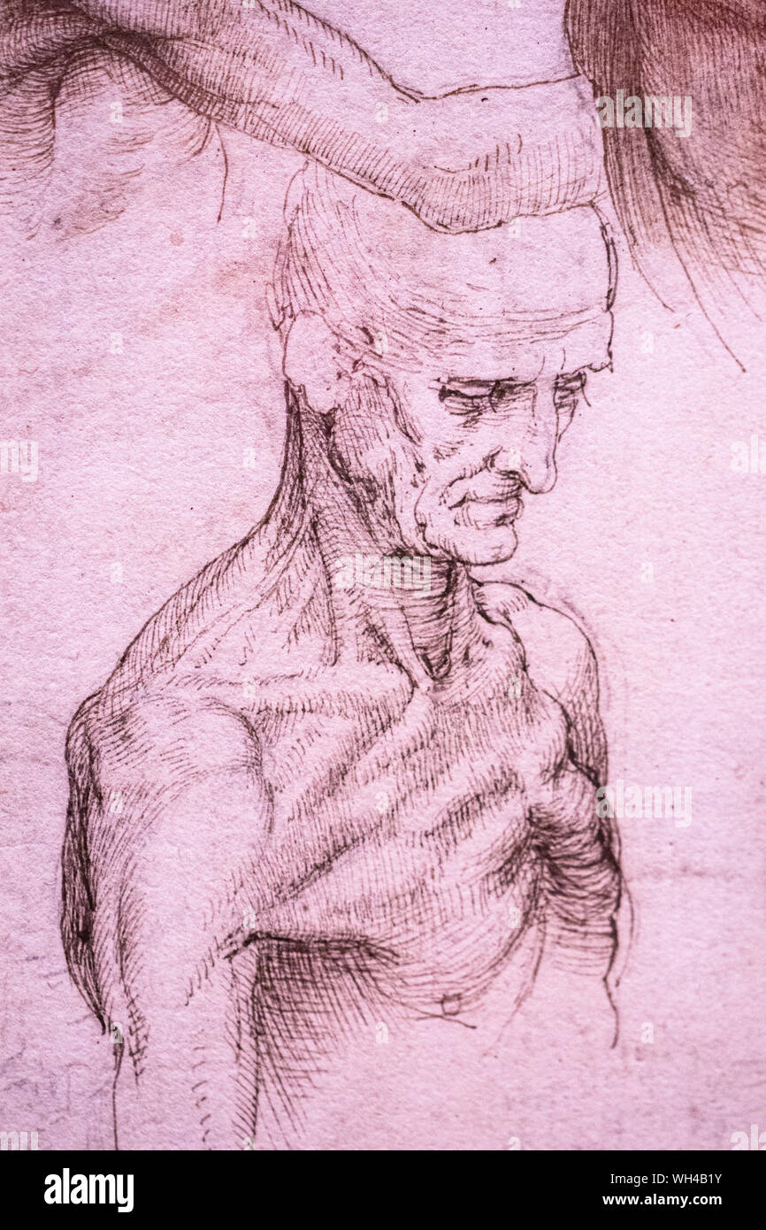 Ausstellung von Leonardo Da Vinci ist erstaunlich, Zeichnungen in London, die den 500. Jahrestag des Todes von Leonardo da Vinci. Stockfoto