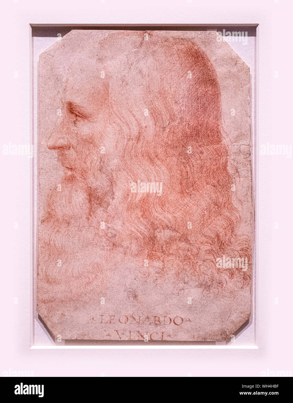 Erstaunlich Bild Leonardo Da Vinci Fotos