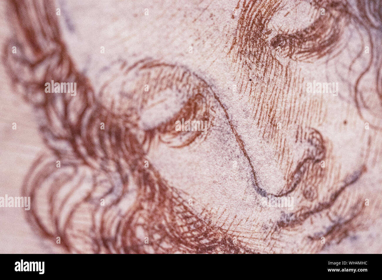 Ausstellung von Leonardo Da Vinci ist erstaunlich, Zeichnungen in London, die den 500. Jahrestag des Todes von Leonardo da Vinci. Stockfoto