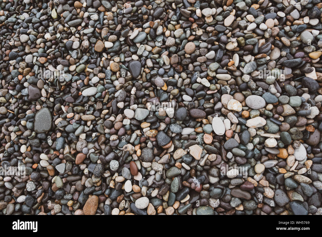 Nassen Kieselsteinen Hintergrund, Ansicht von oben. Bunte Steine und Felsen an der Küste. Stockfoto