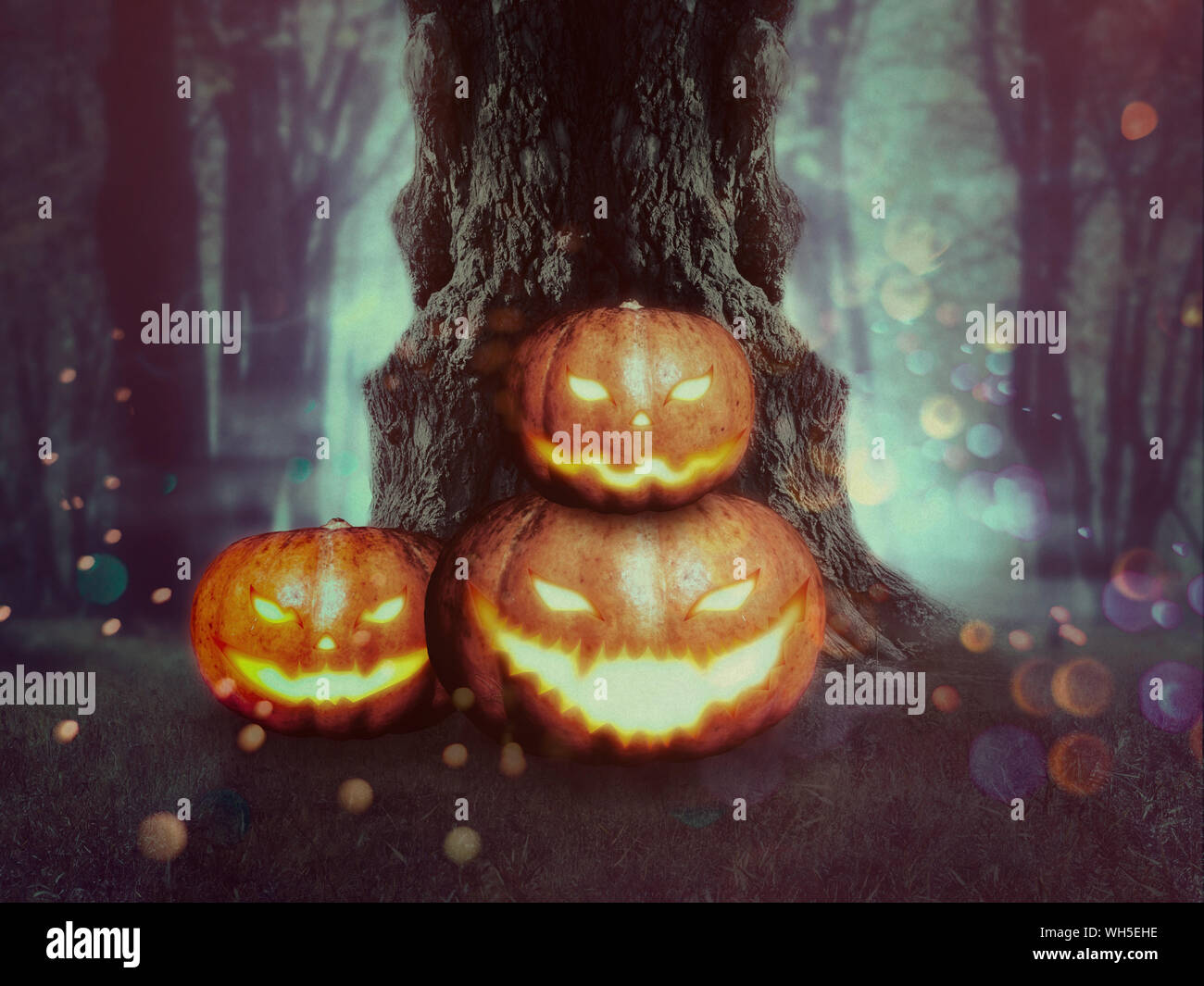 Große krumme spooky Baum in der Nacht Wald mit Halloween Kürbisse. Stockfoto