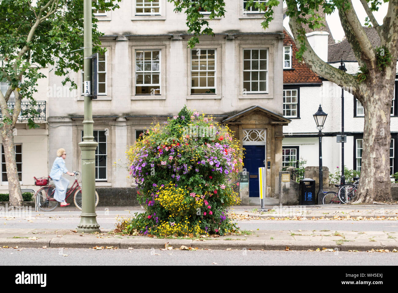 Buntes Spätsommer Blumenarrangements, vom Rat der Stadt im St Giles', Oxford, UK. Stockfoto