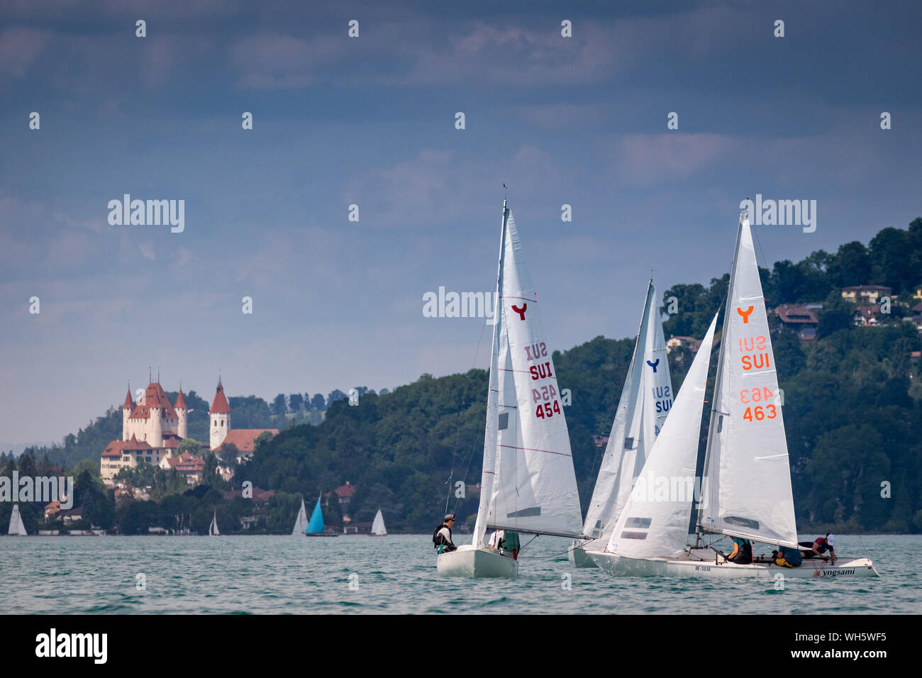 03./04.08.Regatta Thunersee Drachencup, Alpencup Yngling vor Schloss Thun Stockfoto