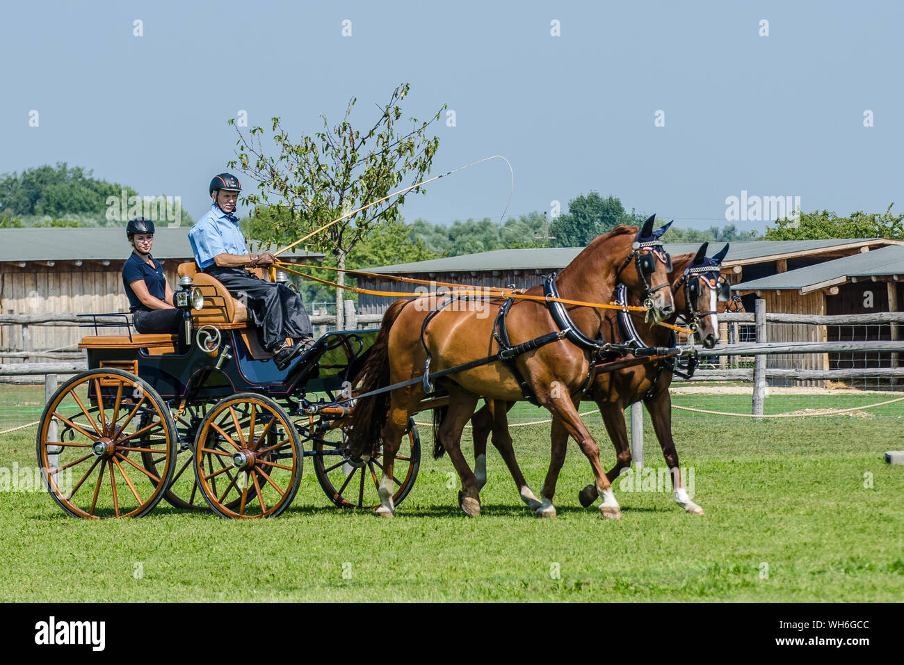 Große Equestrian Show auf Schloss Hof. Sie Ihre künstlerischen Fähigkeiten in beeindruckenden Zahlen anzeigen demonstrieren und hoch qualifizierte sportliche Leistungen Stockfoto