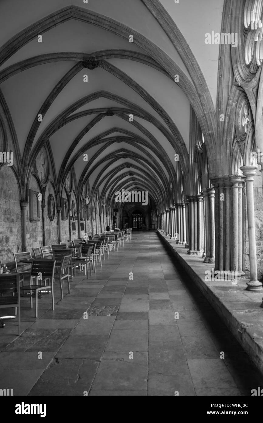 Die Kathedrale von Salisbury Clositer Stockfoto