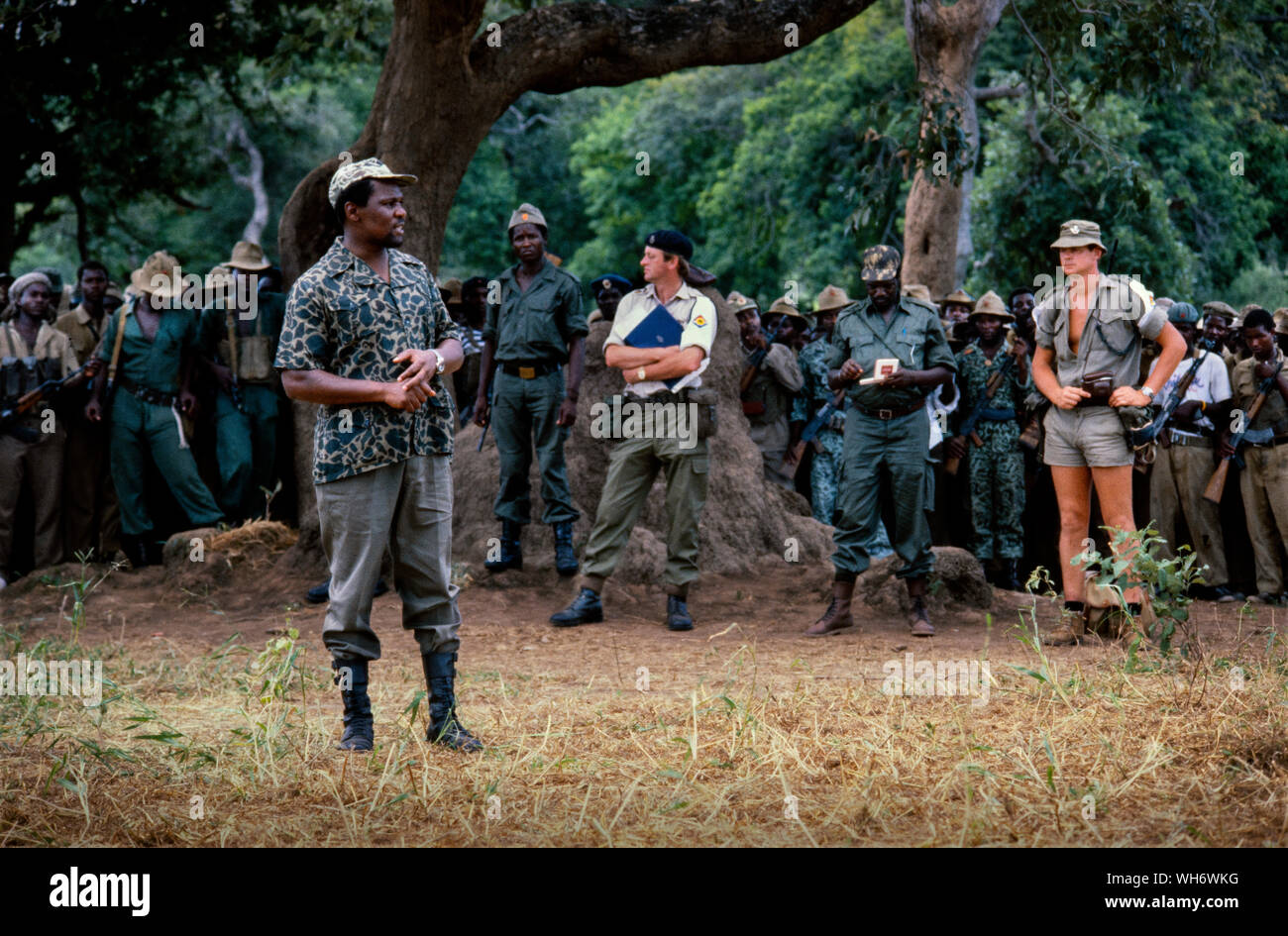 Lt Colonel Andrew Parker Bowles, Zentrum mit blauer Ordner, im Camp Alpha, Rhodesia-Zimbabwe 1980. Er ist gesehen, die Überwachung der Patriotischen Front Truppen aus der Buchse in der Britischen Armee laufen Holding camps in der Zambezi Tal als Teil der Lancaster House Friedensprozess nach den Rhodesian Bürgerkrieg beendet. Er war Leitender Militärischer Verbindungsoffizier zu Lord Soames, als er Gouverneur von Rhodesien während der Übergang zum Mehrheitsprinzip Zustand von Simbabwe 1979 - 1980. Er war Mitarbeiter Qualifizierte (SQ), und wurde ein Oberstleutnant vom 30. Juni 1980. AK47 AK47 Er die Queen's Commendation fo ausgezeichnet wurde Stockfoto