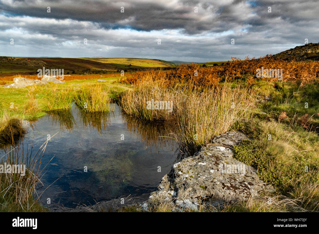 Herbst Landschaft am Bodmin Moor, Cornwall, England, Großbritannien, Großbritannien. Stockfoto