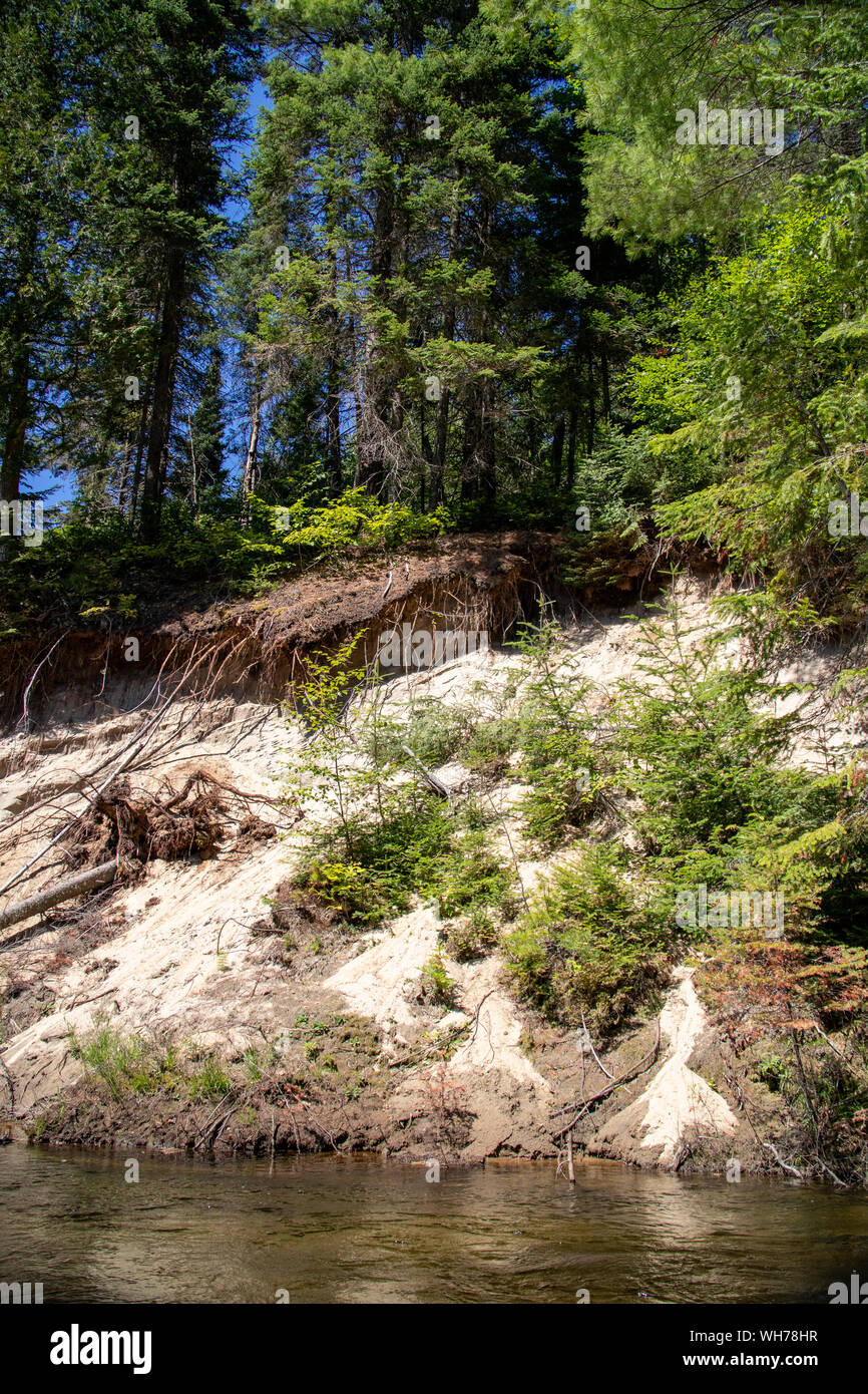 Erosion der Creek Bank nach der Bäume wurden entwurzelt durch Sturm Stockfoto