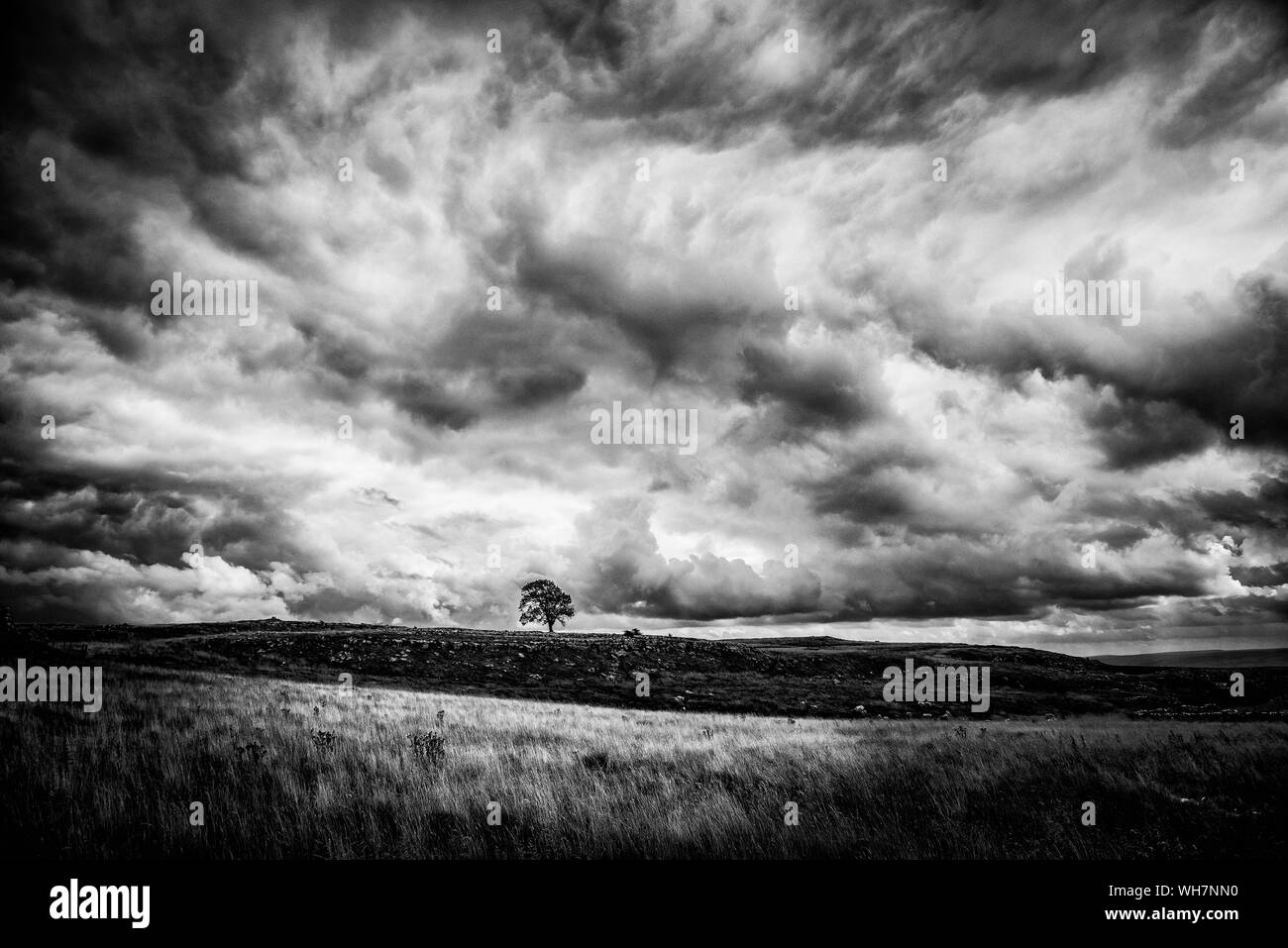 Wütend Sturmwolken den friedlichen und ruhigen Landschaft von Malham Dale in der North Yorkshire Dales stören in der Nähe des Dorfes Malham Stockfoto