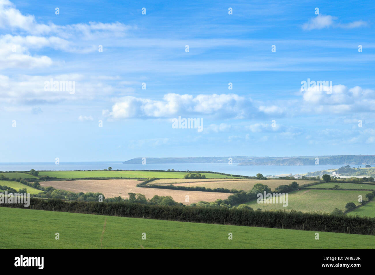 Ein einfacher Blick auf Landschaft mit grünen Wiesen, Bäumen, Hecken und Brutstätten auf Ackerland vom Cornwall, Cornwall, England, Großbritannien Stockfoto
