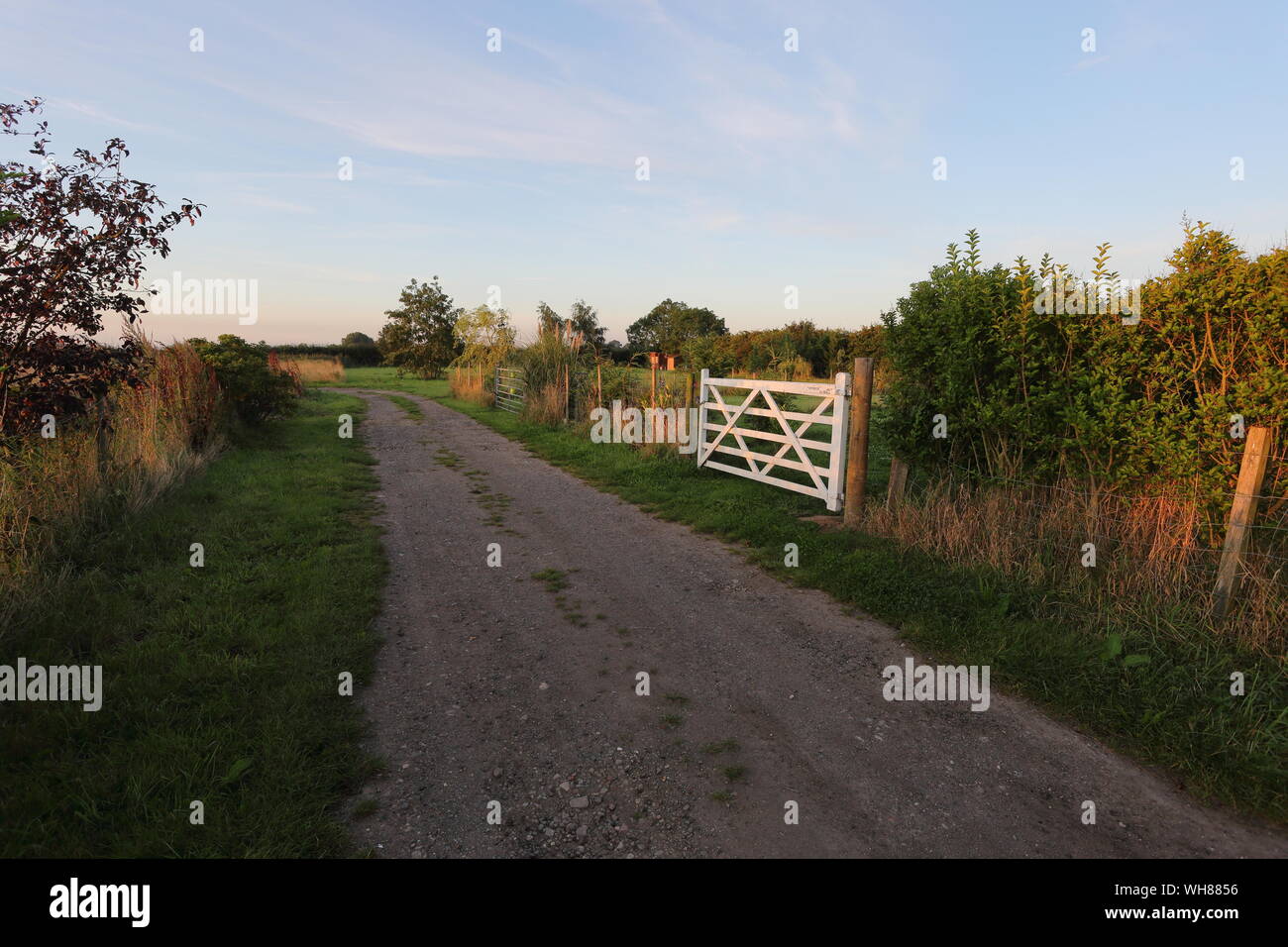 Straße ar Winterton Grundstücke mit weißen Tor durch den goldenen Glanz von Sunrise hervorgehoben Stockfoto