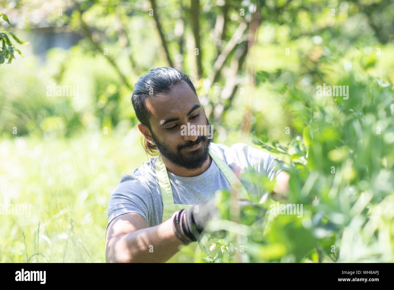 Portrait von bärtiger junger Mann Beschneidung Pflanzen Stockfoto