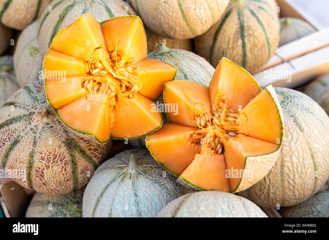 Cavaillon Melone auf dem Markt provencal, Frankreich Stockfoto