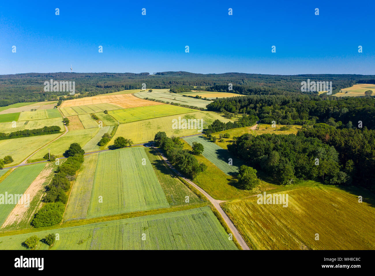 Luftaufnahme über Getreidefelder, Wiesen und Wälder, Wetterau, Deutschland Stockfoto
