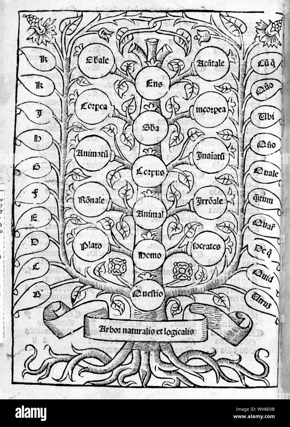Celestial Ladder von De Nova Logica durch Ramonhull 1512. Stockfoto