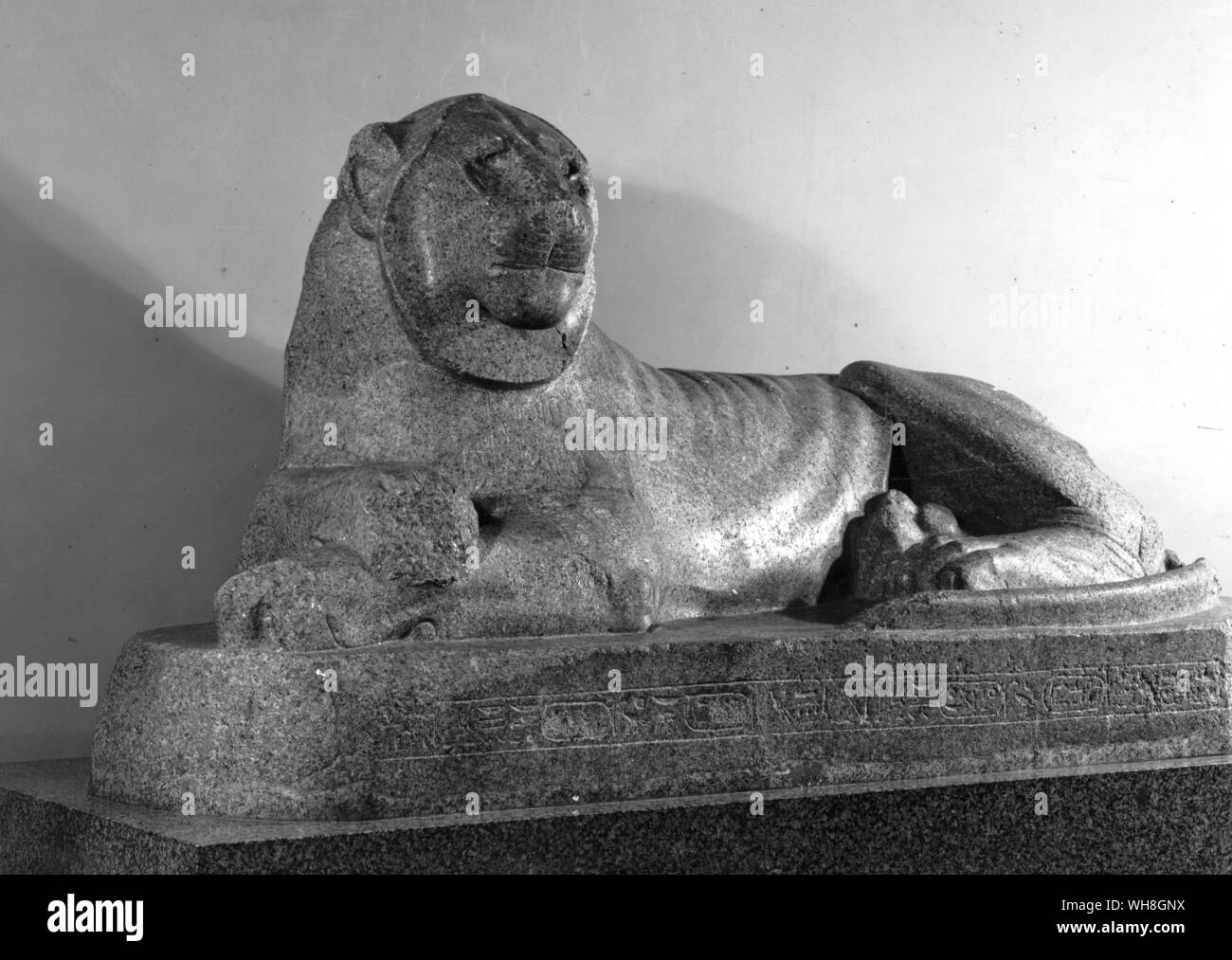 Ein Löwe von Tut-ench-Amun im Tempel von Soleb gewidmet. Von Christiane Desroches Noblecourt, Seite 278 Tutanchamun. Stockfoto