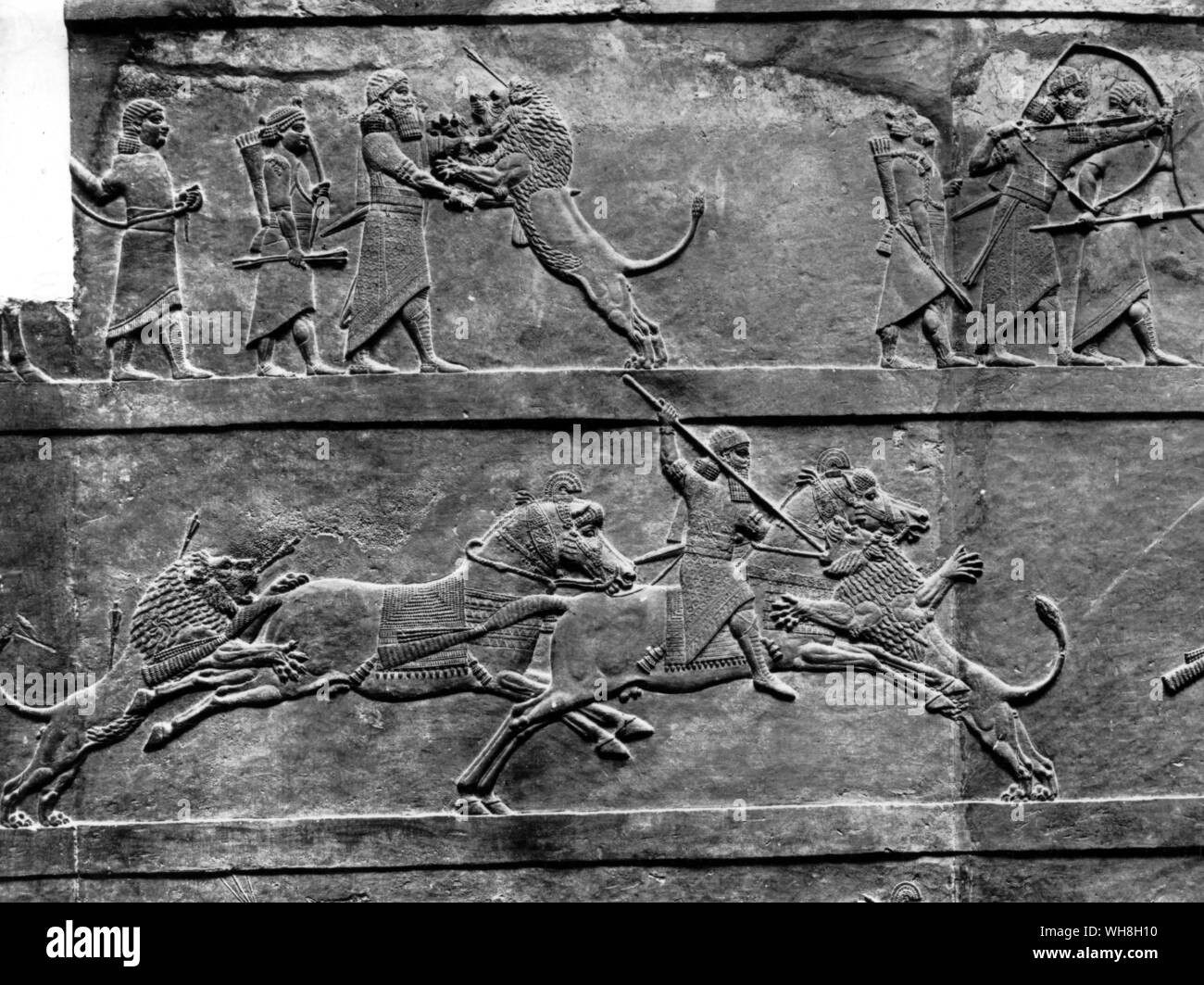 Assyrien Flachrelief von Ninive, 7. Jahrhundert v. Chr. zeigt König Assurbanipal Jagd Löwe. Von Enzyklopädie des Pferdes Seite 67. Stockfoto