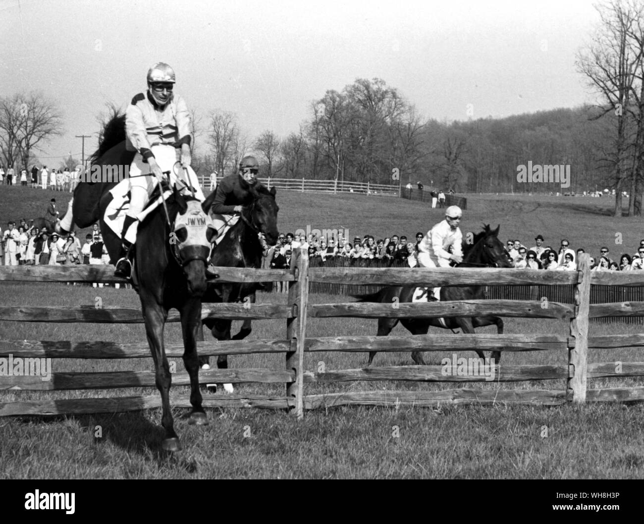 Maryland Hunt Cup: Pferde springen eine solide Holz Zaun 1969 Hindernislauf. Eine der ältesten, renommiertesten und herausfordernde steeplechase Ereignisse in den Vereinigten Staaten. Enzyklopädie des Pferdes Seite 220. . . . Stockfoto