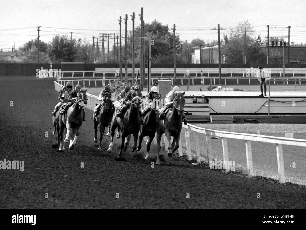 Racing bei der Northland Race Track, Edmonton, Alberta, Kanada. Enzyklopädie des Pferdes Seite 92.. . Stockfoto