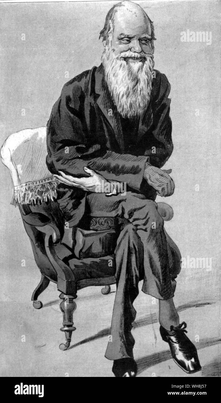 Charles Darwin (1809-1896). Von Darwin und der Beagle von Alan Moorhead, Seite 265.. Charles Robert Darwin war ein britischer Naturforscher, der bleibende Ruhm als Begründer der Theorie der Evolution durch natürliche Selektion erreicht. Darwin's fünfjährige Reise auf der Beagle brachte ihn eminenz als Geologe und Ruhm als ein beliebtes Thema. Seine biologische Beobachtungen führten ihn die Transmutation der Arten zu studieren und seine Theorie der natürlichen Auslese 1838 entwickeln. Sein 1859 Buch, den Ursprung der Arten durch Mittel der natürlichen Selektion oder die Erhaltung der Begünstigten Rassen im Kampf für das Leben, Stockfoto