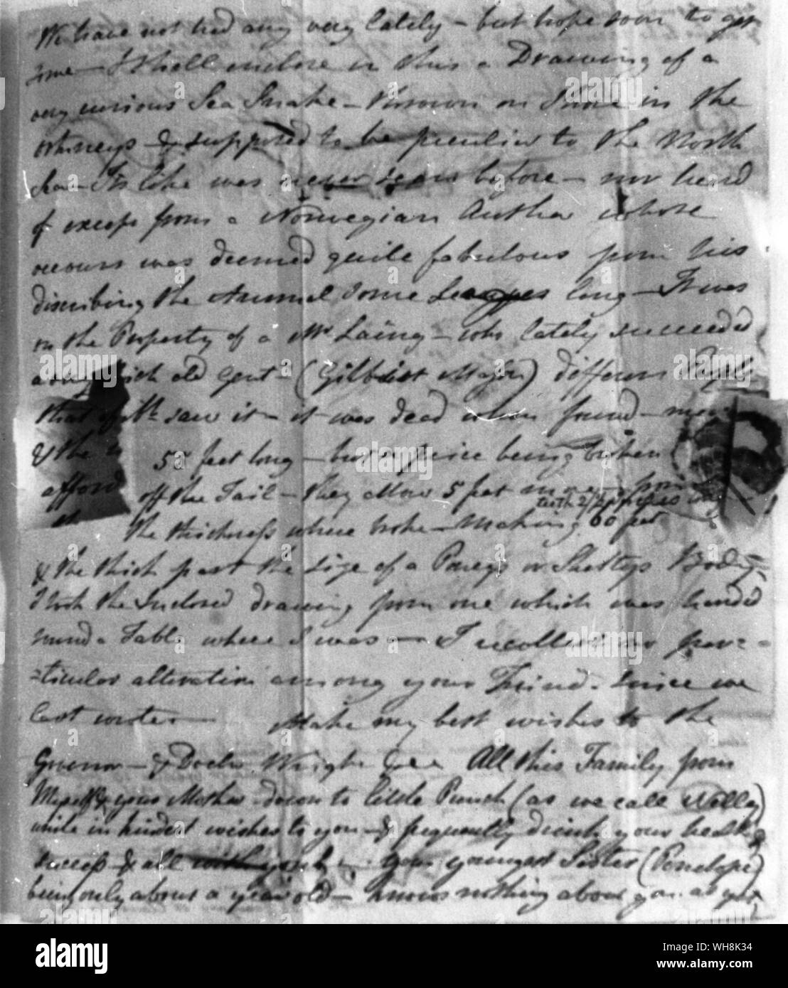 Brief von Sir Alexander Gibson Maitland an seinen Sohn in Ceylon (Sri Lanka) 1808 Stockfoto
