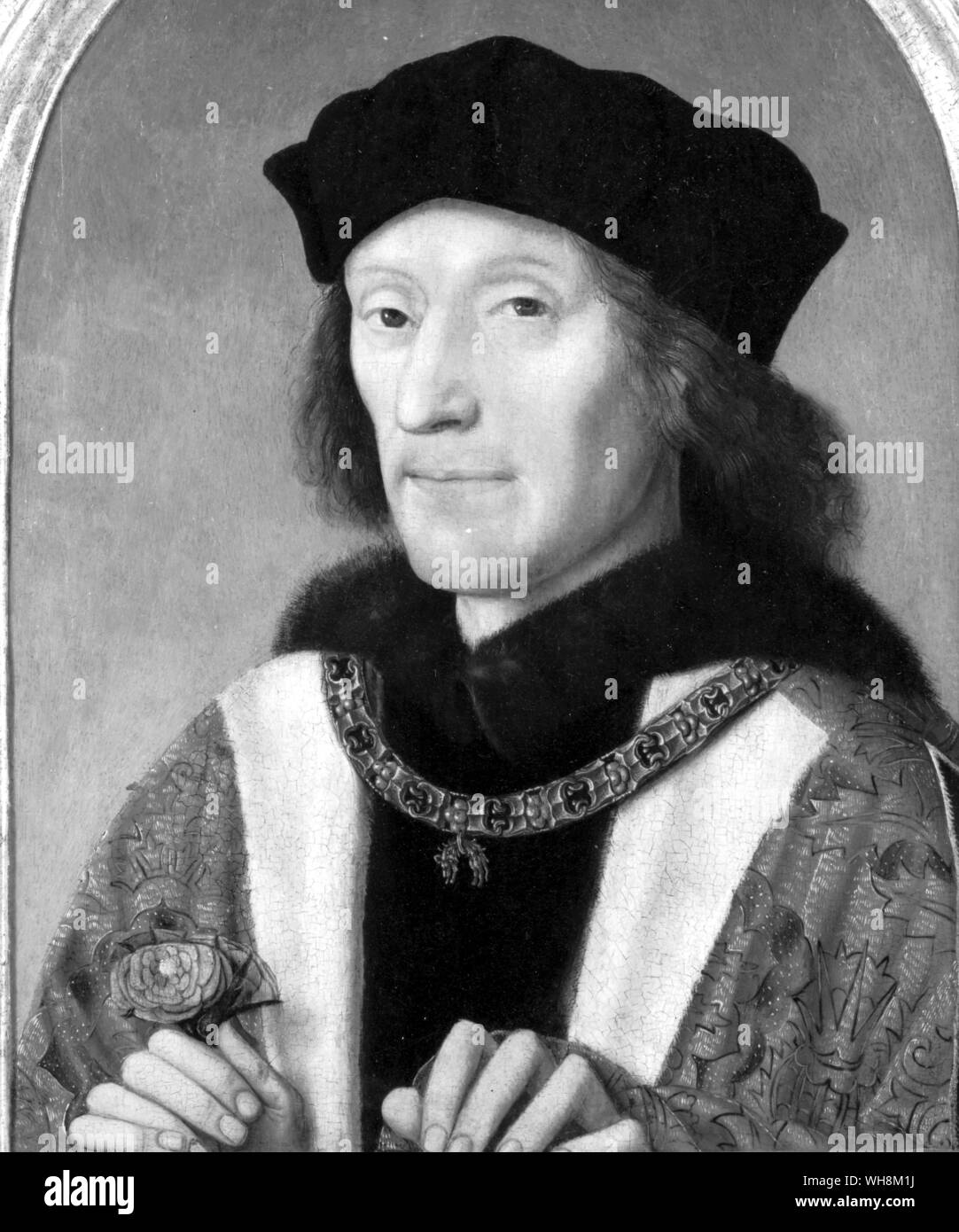 Henry VII Holding a Tudor Rose Stockfoto