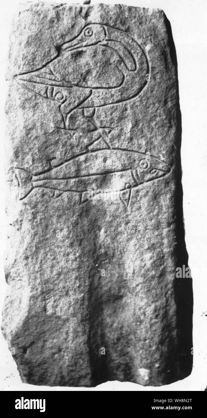 Keltische Symbole eine Gans mit rückwärts drehen Hals Stockfoto