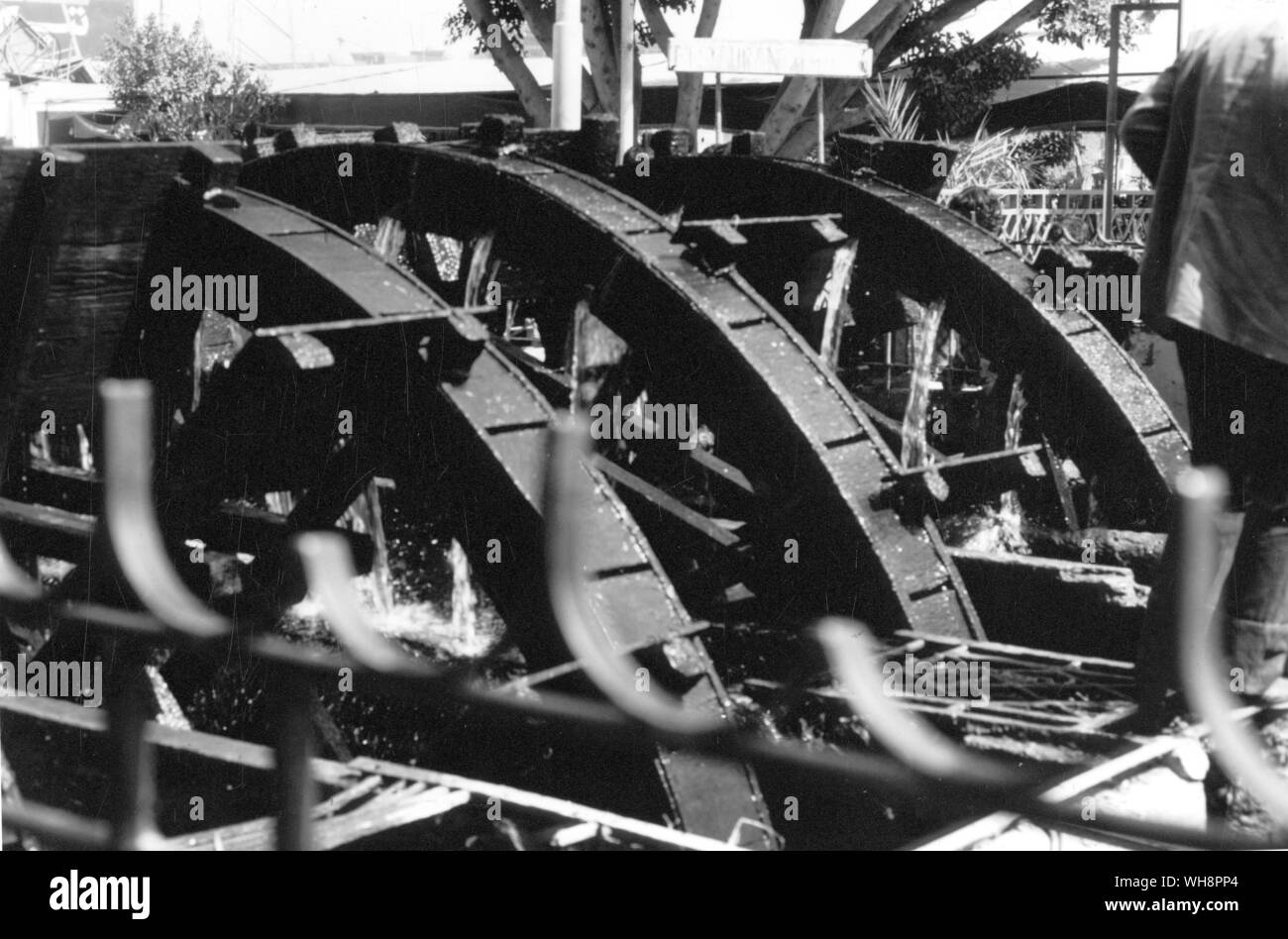 Bewässerung in Ägypten. "In El Fyoum selbst ein interessanter Anblick und Klang ist das mehrere Wasserrad. Es besteht aus mehreren unterschritten waterwheels Nebeneinander und verbunden". Stockfoto