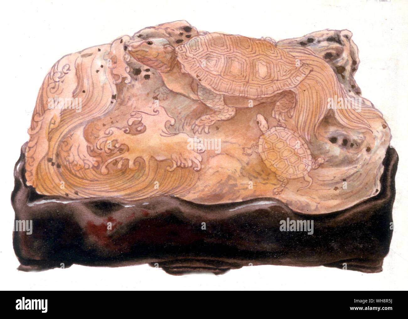 Coral schnitzen. Stockfoto