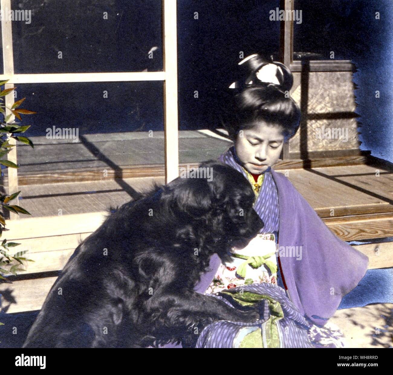 Japanische Mädchen mit Hund Stockfoto