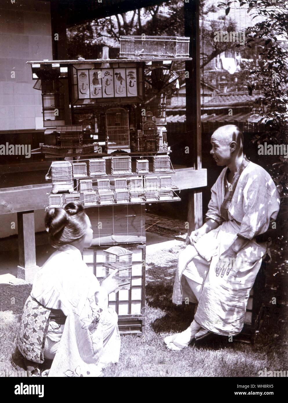Ein Insekt Verkäufer. 1900. Stockfoto