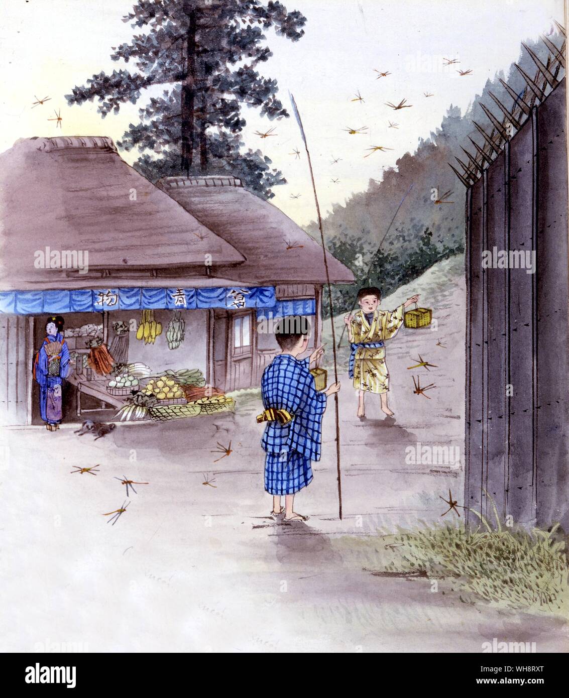 Japanischen jungen Libellen zu fangen. 1904 Stockfoto