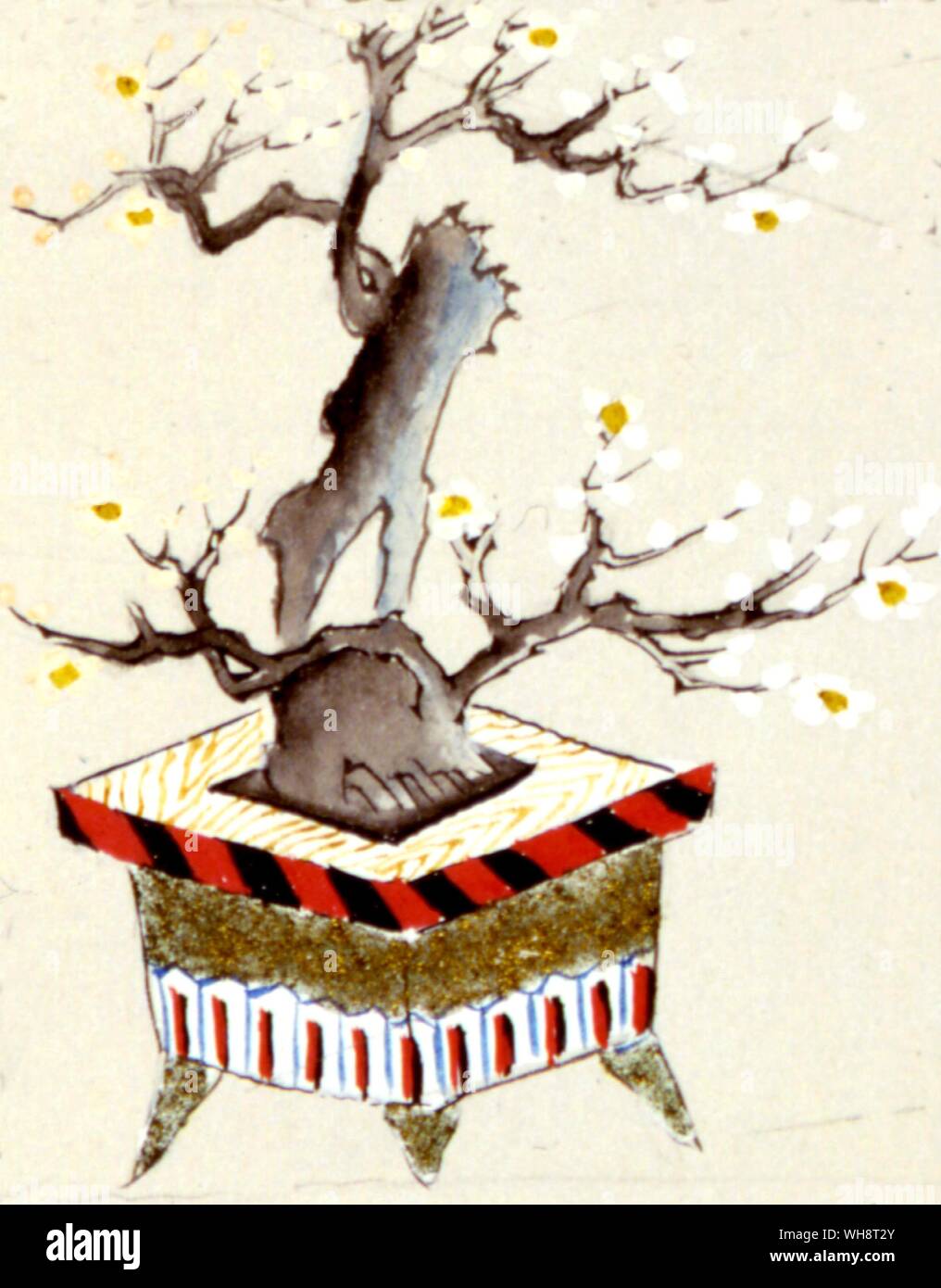 White Plum tree (Bonsai?). Stockfoto