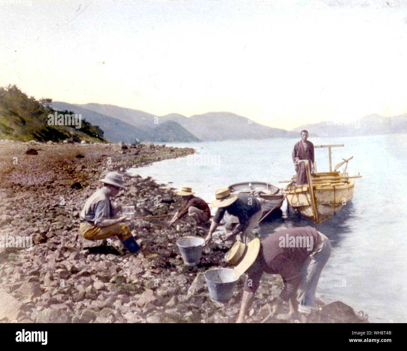 Auf der Suche nach Muscheln. Stockfoto