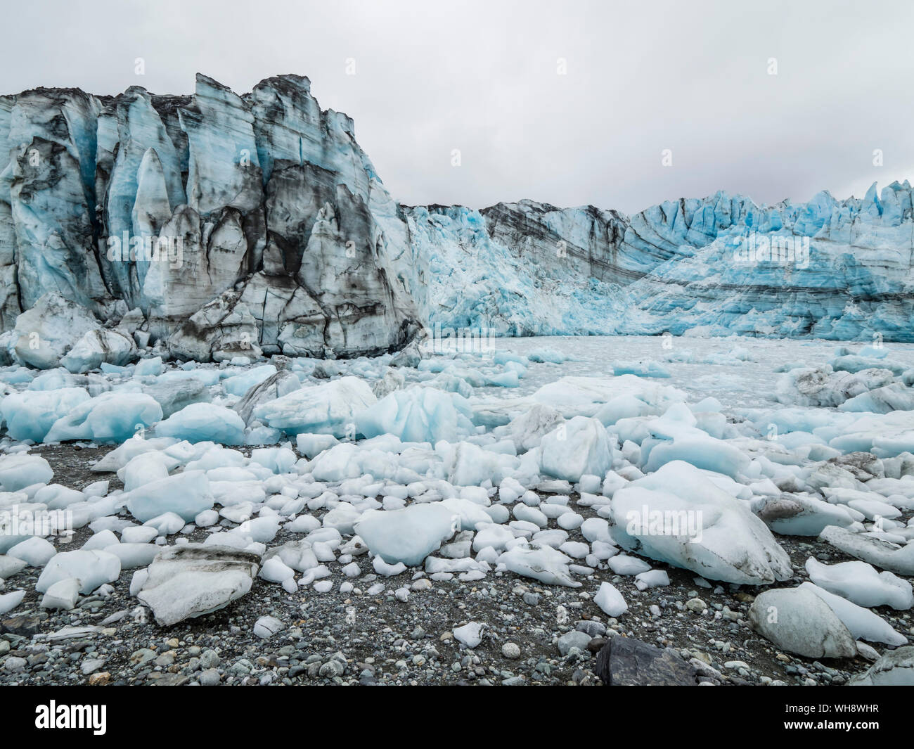Gestrandet Eis auf der Ebbe vor lamplugh Gletscher, Glacier Bay National Park, Alaska, Vereinigte Staaten von Amerika, Nordamerika Stockfoto
