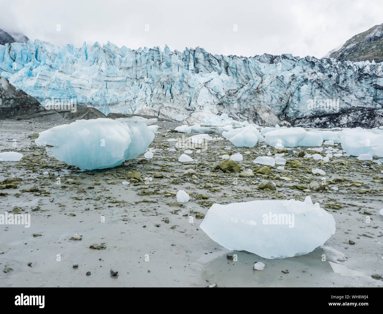 Gestrandet Eis auf der Ebbe vor lamplugh Gletscher, Glacier Bay National Park, Alaska, Vereinigte Staaten von Amerika, Nordamerika Stockfoto