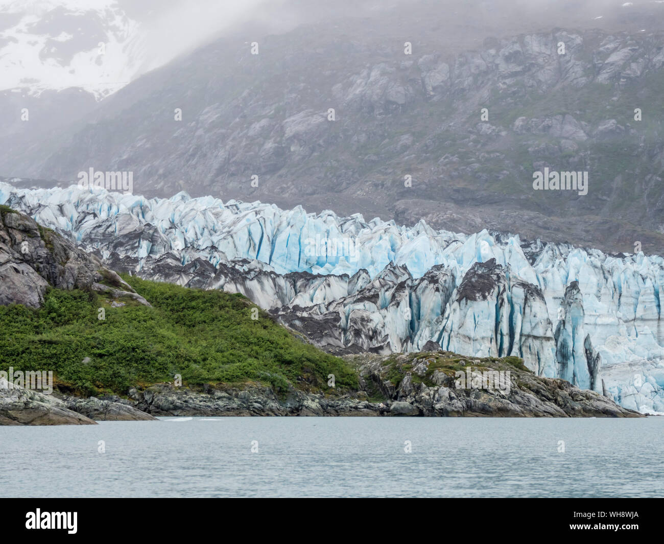 Lamplugh Gletscher, einer Tidewater Gletscher Glacier Bay National Park, Alaska, Vereinigte Staaten von Amerika, Nordamerika Stockfoto