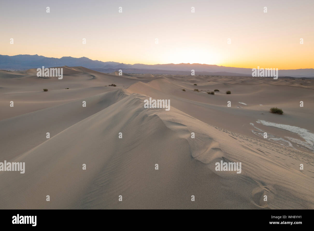 Mesquite flache Sanddünen im Death Valley National Park, Kalifornien, Vereinigte Staaten von Amerika, Nordamerika Stockfoto